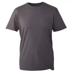 Anthem Mens Organic T-Shirt (4XL) (Charcoal)