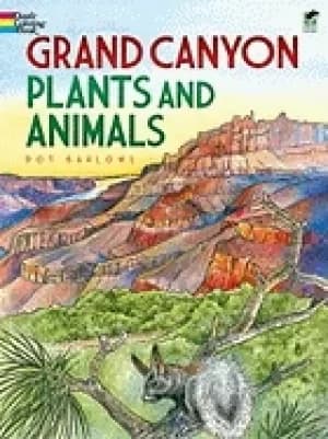 grand canyon plants and animals coloring book