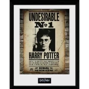 Harry Potter Undesirable No 1 Framed Collector Print