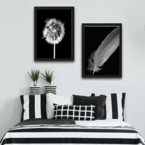 Dandelion Feather Set Multicolor Decorative Framed Painting (2 Pieces)