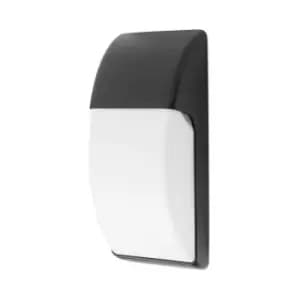 Netlighting Area 1 Light Outdoor Wall Light Black IP65