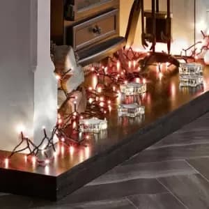 The Winter Workshop - String Lights - 600 LEDs - Copper Glow