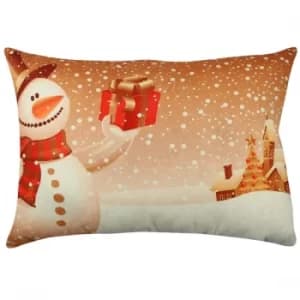 A50935 Multicolor Cushion