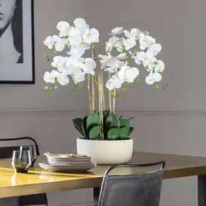 Crossland Grove Orchid Bowl White Large 580X580X680Mm
