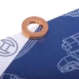 Bosch Gaskets F 00V C17 505 Seal, nozzle holder VW,AUDI,SKODA,Golf IV Schragheck (1J1),POLO (9N_)
