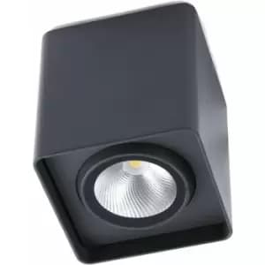 Tami dark gray garden ceiling light