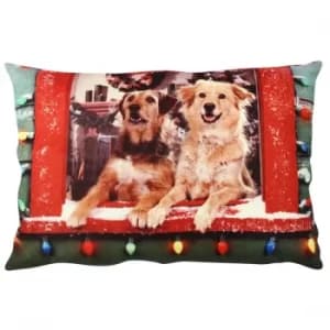 A50841 Multicolor Cushion