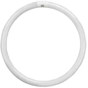 Crompton Lamps Fluorescent T9 Circular 60W 4-Pin Cool White FC60W/840