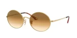 Ray-Ban Sunglasses RB1970 914751