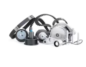 INA Water Pump + Timing Belt Kit 530 0089 31 VW,AUDI,SKODA,Golf IV Schragheck (1J1),Golf V Schragheck (1K1),POLO (9N_),GOLF PLUS (5M1, 521)