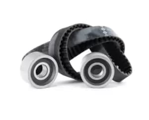 INA Timing belt kit OPEL,RENAULT,FIAT 530 0113 10 0816A4,5001836608,7701044188 7701471774,99456477,99456477,500038736,500055908,503644954,99430032