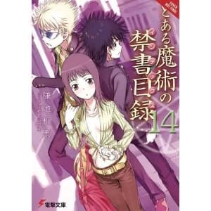 A Certain Magical Index, Vol. 14 (Light Novel)