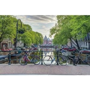 Assaf Frank Amsterdam Maxi Poster