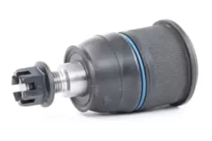 RIDEX Ball joint 2462S0261 Suspension ball joint,Suspension arm ball joint HONDA,Accord VII Limousine (CL, CN),Accord VII Tourer (CM, CN)