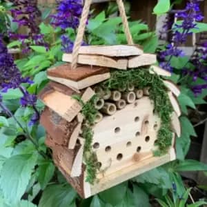Tom Chambers Garden Wooden Bug House Wild Insect Hanging Habitat with Natural Moss