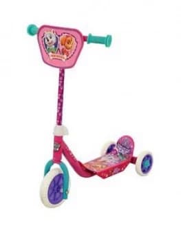 Paw Patrol Skye And Everest My First Tri Scooter