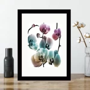 SC3605415712 Multicolor Decorative Framed MDF Painting