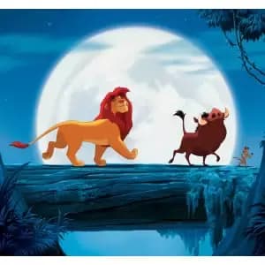 Hakuna Matata Wall Mural 3m x 2.8m
