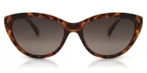 Polaroid Sunglasses PLD 4080/S Polarized 086/LA