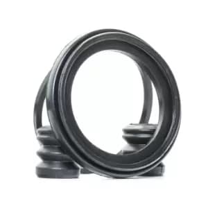 RIDEX Brake Caliper Repair Kit VW,MERCEDES-BENZ,RENAULT 405R0082 0004200044,0014202383,A0004200044 7701202048,251698471A