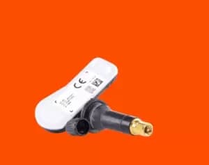 SCHRADER Wheel Sensor, tyre pressure control system 3041 MERCEDES-BENZ,OPEL,RENAULT,CITAN Kasten (415),Citan Kombi / Tourer (415),CITAN Mixto (415)