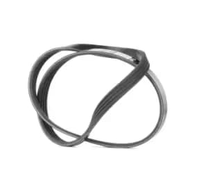 Bosch V-ribbed belt BMW,FIAT 1 987 946 127 11286550645,11287795144,64557795144 6550645,7795144,46811241,71719034