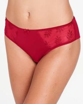 Panache Tango II Garnet Briefs