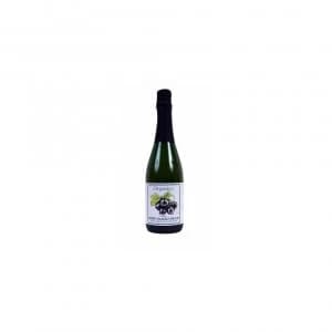 Organico Bubbly Blackcurrant Juice 750ml x 6
