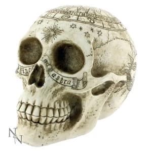 Astrological Skull