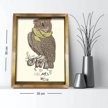 3550AHS-021 Multicolor Decorative Framed MDF Painting