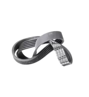 Bosch V-ribbed belt PEUGEOT,CITROEN,PORSCHE 1 987 947 831 575074,5750P5,5750P6 91541144,91541175,575074,5750P5,5750P6,91541144,91541175