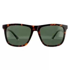 Square Havana Green Polarized Sunglasses