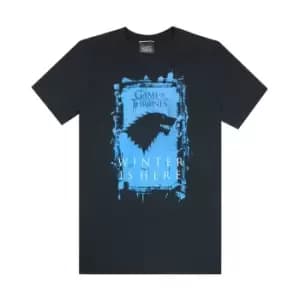 Game of Thrones Mens Winter Is Here T-Shirt (L) (Black)