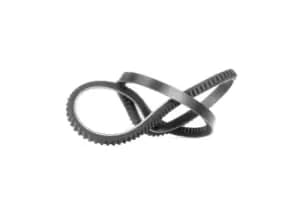 Bosch V Belt BMW,TOYOTA,NISSAN 1 987 947 745 6001543795,5136710530,5136710700 Fenner Belt 8942185740,8942185741,8942290050,8942570371,9136712030