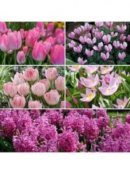 Pretty In Pink Bulb Collection 59 Bulbs