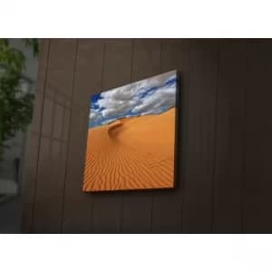 4040?ACT-40 Multicolor Decorative LED Lighted Canvas Painting