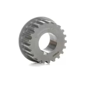 SASIC Gear, crankshaft PEUGEOT,CITROEN,DS 1600001 0513A2,0513A9,0513A2 0513A9,0513A2,0513A9