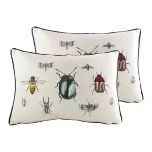 Eden Insects Twin Pack Polyester Filled Cushions