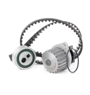 INA Water Pump + Timing Belt Kit PEUGEOT,CITROEN 530 0012 30 0000082919,0000082954,081636 081642,081656,082053,082919,082929,082954,1201E3,120718