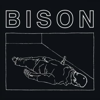 Bison - One Thousand Needles Vinyl