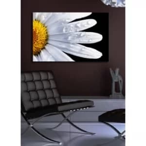 4570?ACT-3 Multicolor Decorative LED Lighted Canvas Painting