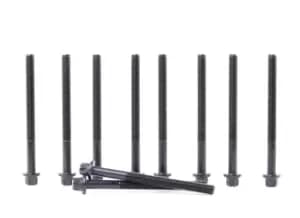 REINZ Cylinder Head Bolt Kit 14-32139-04 Bolt Kit, cylinder head PEUGEOT,CITROEN,206 Schragheck (2A/C),206 CC (2D),207 (WA_, WC_),307 CC (3B)