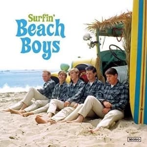 Beach Boys - Surfin Vinyl