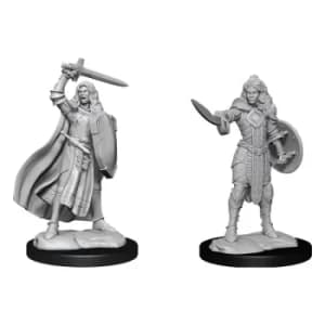 Pathfinder Battles Deep Cuts Unpainted Miniatures Human Champion Female Case (6)