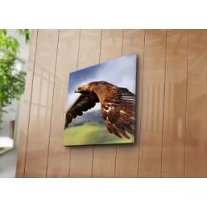 4545NAT-16 Multicolor Decorative Canvas Painting