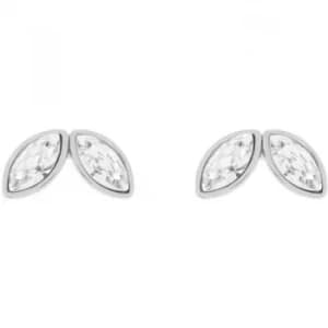 Ted Baker Ladies Silver Plated Genii Geometric Bee Stud Earring