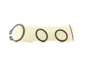 FAST Radiator Hose IVECO FT61631 4697947,5000820164,5001836638 Coolant Hose 503643842,99443808,99443808^,5001836638