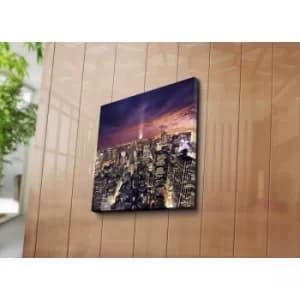 4545C-75 Multicolor Decorative Canvas Painting
