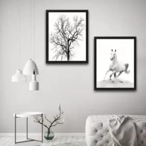 White Horse Set Multicolor Decorative Framed Painting (2 Pieces)