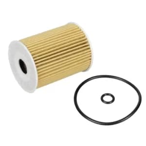 Oil Filter ADG02136 by Blue Print